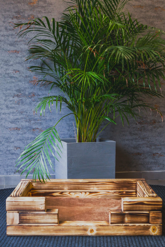 Drewniane legowisko dla psa z poduchą