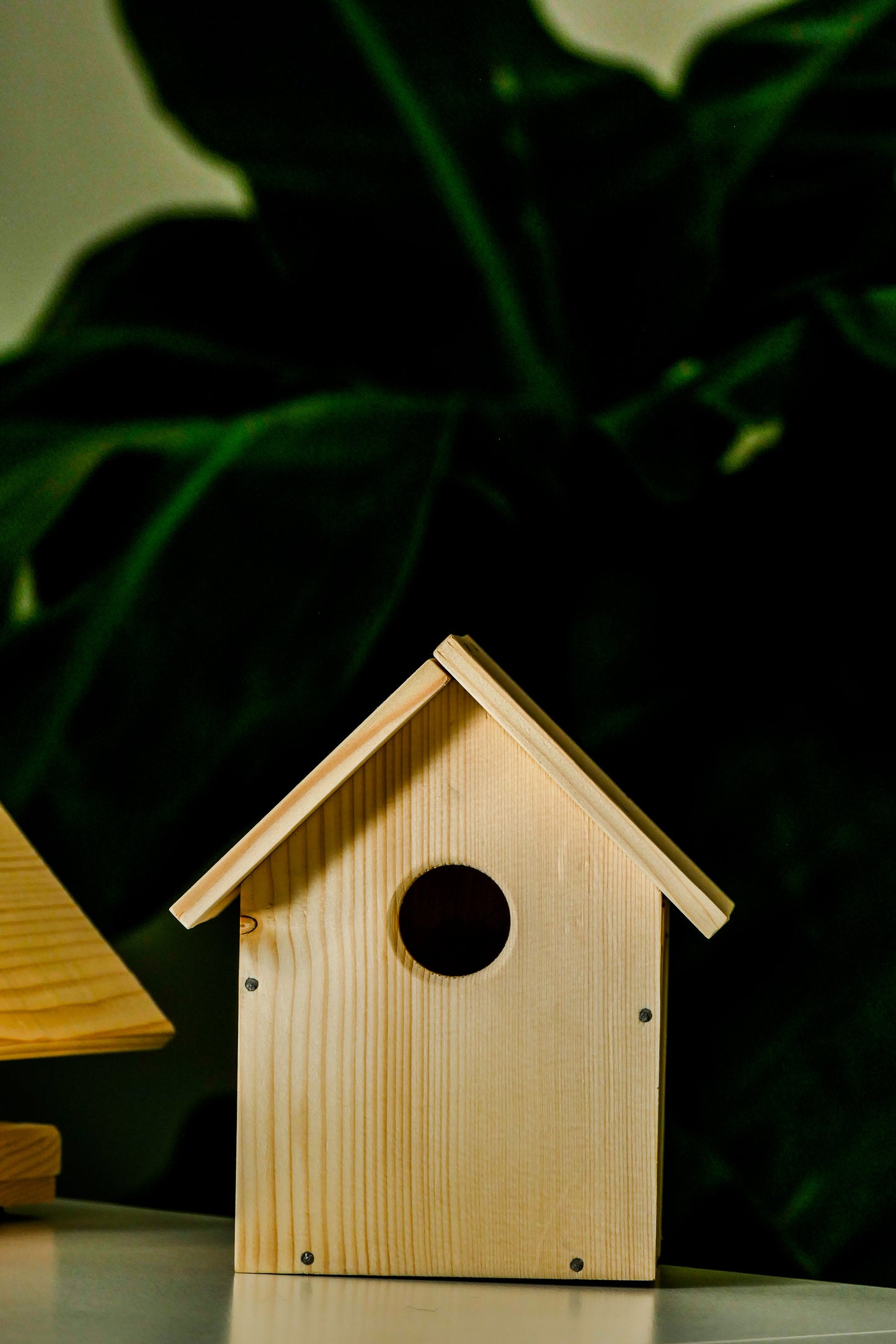 Budka lęgowa dla ptaków DIY zrób to sam