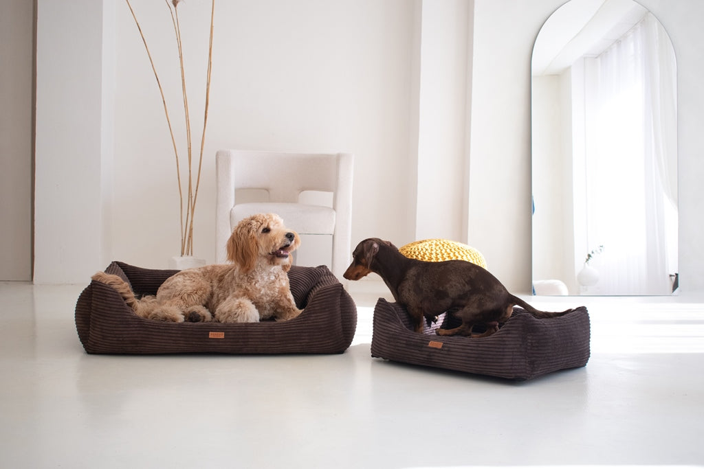 Legowisko Rimini brown
