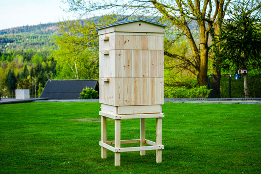 Ul Wielkopolski korpusowy II