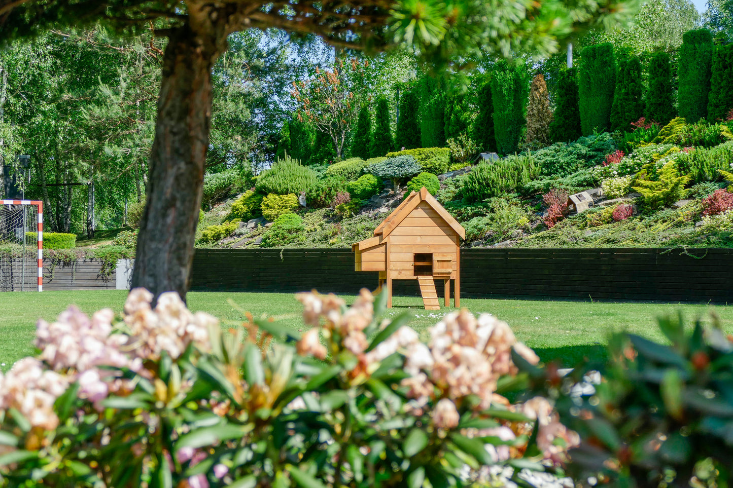 Kurnik Roxy z przystawką