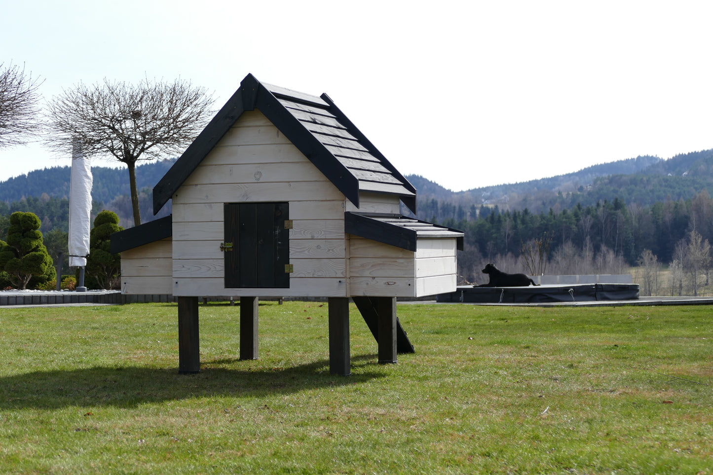 Kurnik STELLA z dwoma przystawkami