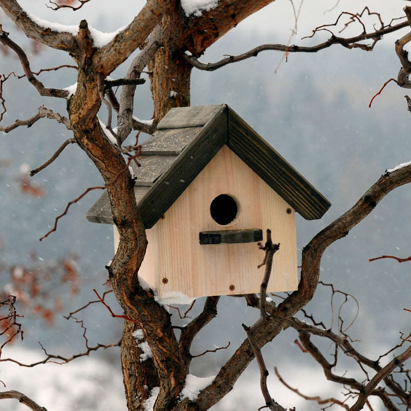 Budka lęgowa Bonker Nest