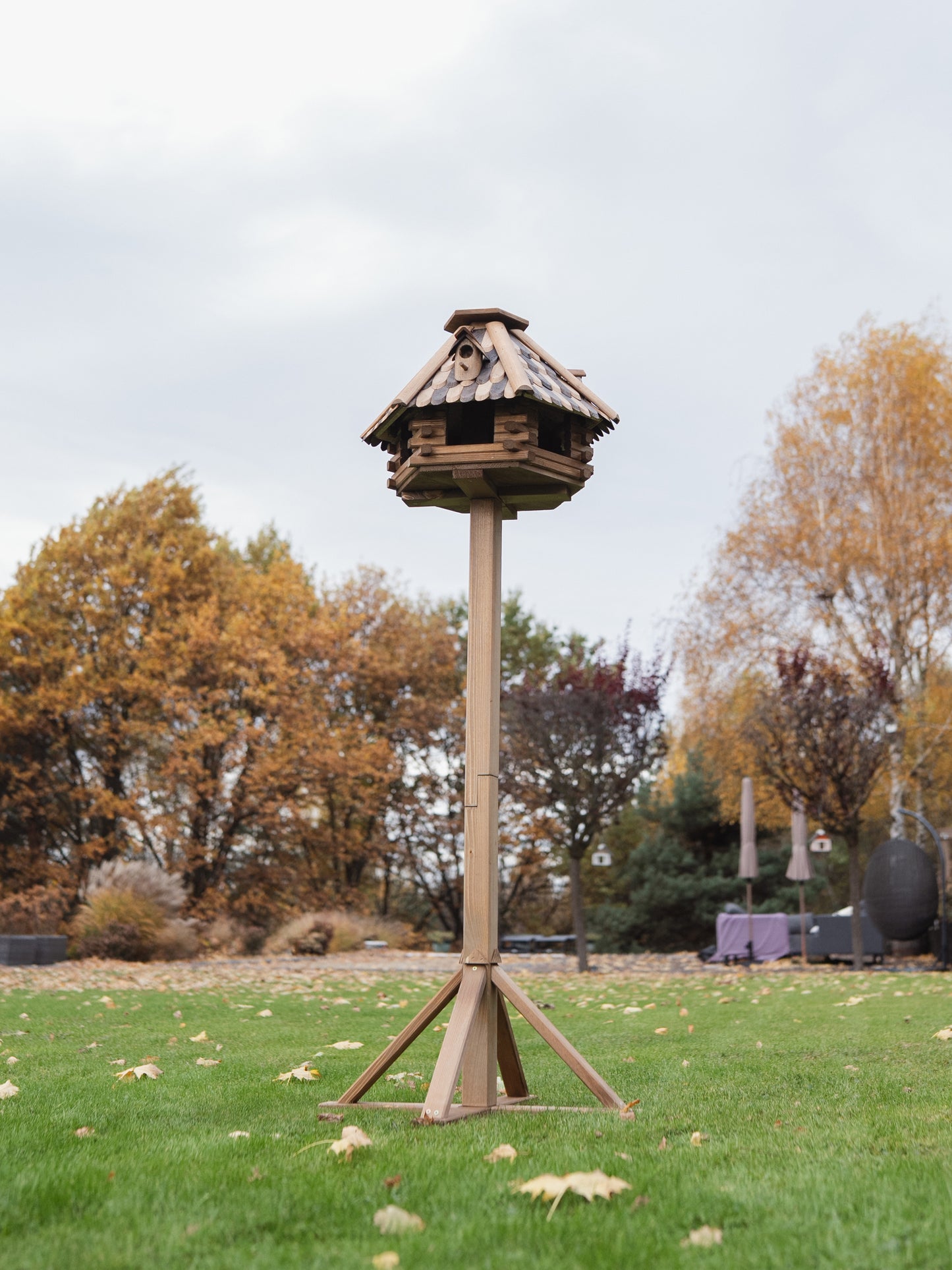 Karmnik Egis z nogą / Drewniana łuska