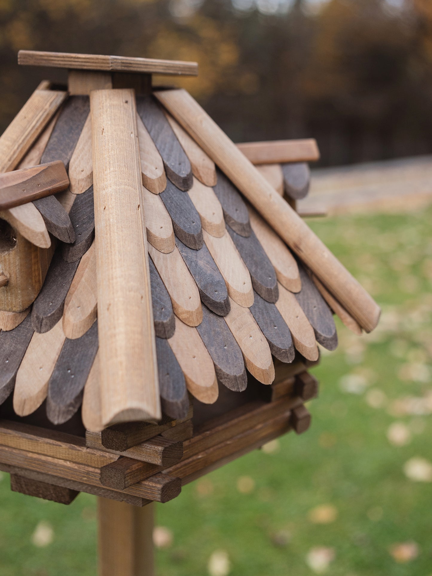 Karmnik Egis z nogą / Drewniana łuska