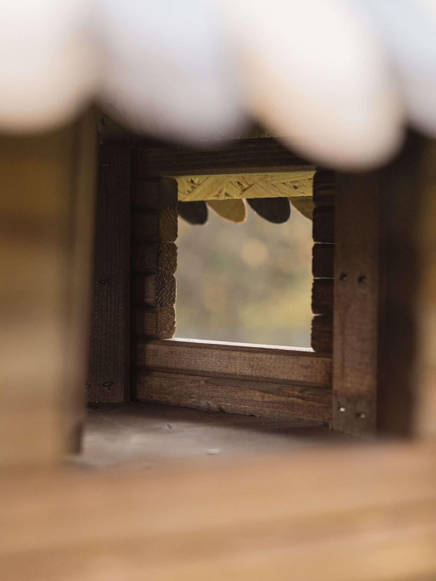 Karmnik Egis z nogą / Drewniana łuska